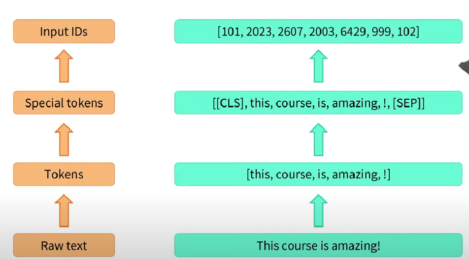 image-20231010081316489
